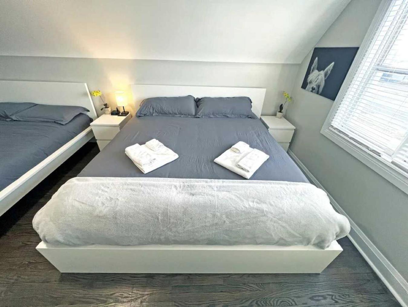 Hamilton Chic Retreat - Comfy Beds - Garden - Pool Lejlighed Eksteriør billede